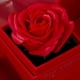 thumbnail image 5 of Baúles de almacenamiento, organizadores de armario y almacenamiento, organización y almacenamiento, contenedores de almacenamiento, caja de regalo de rosas, collar, anillo, perfume para San Valentín,, 5 of 9