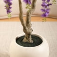 thumbnail image 4 of 8ft Artificial Flower Tree with 18 inch White Planter, Tall Fake Matthiola incana Trees for Indoor, Faux Tree with Matthiola incana, Large Flower Plants for Home Decor, 4 of 8