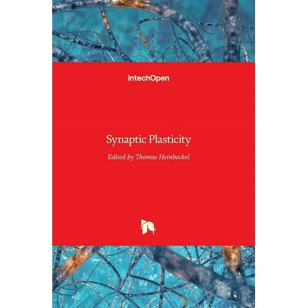 Synaptic Plasticity (Hardcover)