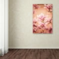 thumbnail image 3 of Trademark Fine Art 'Girls of Spring' Canvas Art by Philippe Sainte-Laudy, 3 of 3