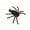 Golden, variant on Eosunjian Glittering Spider Hair Clip Halloween Spider Hairpin 1/2pcs Halloween Spider Hair Clip Glittering Spider Hairpin for Women Toddler Kids for Halloween