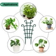 thumbnail image 4 of 4Pcs Stackable Trellis for Climbing Plants, Pot Support for Indoor/Outdoor Hoya Vines, Pothos, and Houseplants, 4 of 6