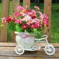 thumbnail image 4 of Rattan Flower Basket Vase Tricycle Plant Stand - Flower Pot Cart Holder - Ideal for Home, Garden, Patio - Great Gift for Plant Lovers, Housewarming, Mother’s Day - Parisian Style, 4 of 8