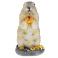 thumbnail image 1 of Adorable Marmot Ornament Micro Landscape Resin Animal Craft Creative Bonsai Decor, 1 of 5