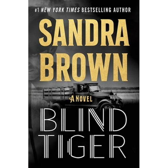 Pre-Owned Blind Tiger (Hardcover) 1538751968 9781538751961
