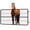 black(48"W × 24"H), variant on Steel Black Stall Door, Heavy Duty Grid Gate with Two-Way Swing Design and Scratch-Resistant Coating for Corral/Paddock - Fence Gate for Sheep, Cattle, Horses and Various Livestock Enclosures