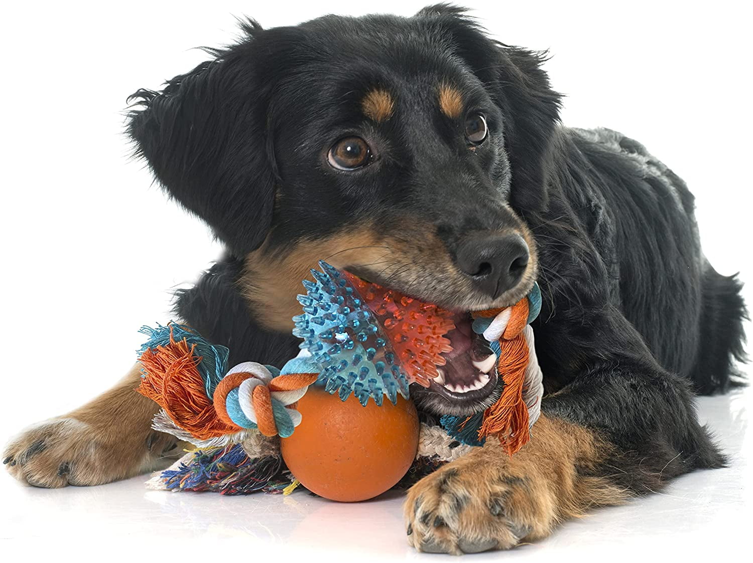 Animal Planet Spikey Round Rubber Toy with Rope
