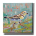 thumbnail image 1 of Epic Graffiti 'Coastal Plover I' by Jeanette Vertentes, Canvas Wall Art, 18"x18", 1 of 2