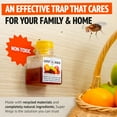 thumbnail image 5 of Super Ninja Fruit Fly Trap - 4 Traps - Highly Effective Ecological Fruit Fly Traps Indoor - Environmentally Responsible Fruit Fly Killer - User Friendly - Up to 3 Weeks per Bottle, 5 of 8