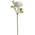 thumbnail image 1 of Hill Interiors Artificial Ranunculus Spray, 1 of 1