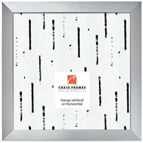 Craig Frames Modern Aesthetics 150, 20x20 inch Picture Frame, Silver