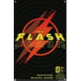 thumbnail image 4 of DC Comics Movie The Flash - Saving The Future & The Past Wall Poster with Push Pins, 14.725" x 22.375", 4 of 6