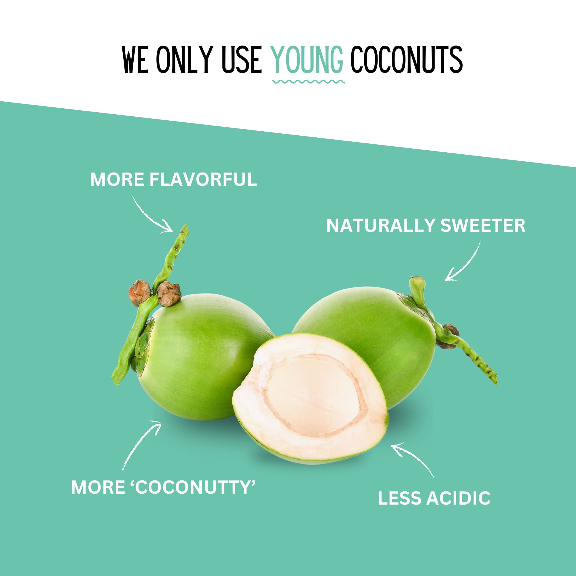 Little Palm Coconut Water, No Added Sugar, 500mL, 12-Pack