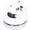 Panda Pattern, variant on M Buder Cute Animal Desktop Vacuum Cleaner USB Charging Mini Dust Catcher for Children Panda Pattern (5.12 inches / 13.00 cm) Handheld Cordless Sweeper for School Office