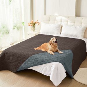 Waterproof Dog Couch Cover, Reversible Blanket 82x102