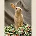 thumbnail image 2 of CafePress - Christmas Bunny Tote Bag - Unisex Canvas Tote Bag, Beige, 1-Piece, 2 of 7