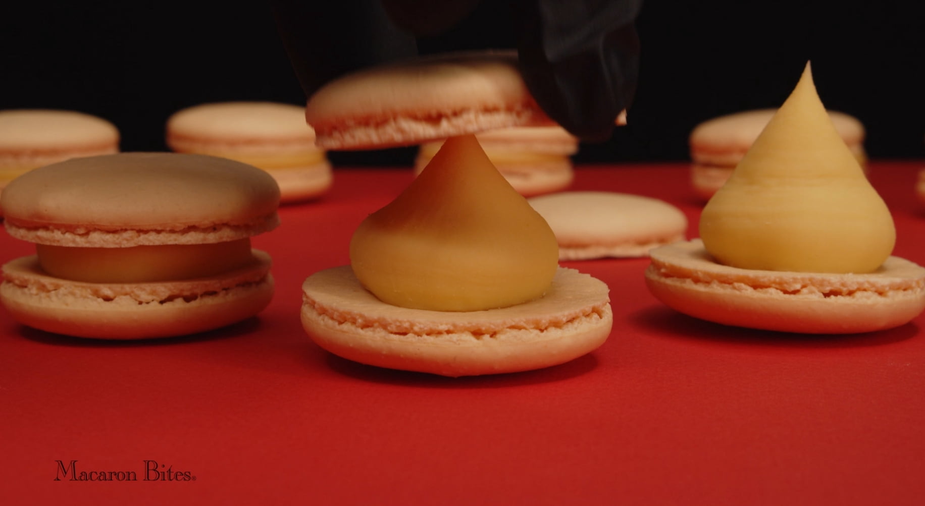 Macaron Bites - 24 Assorted French Macaron Cookies, Value Pack of 2 (48 Macarons Total)