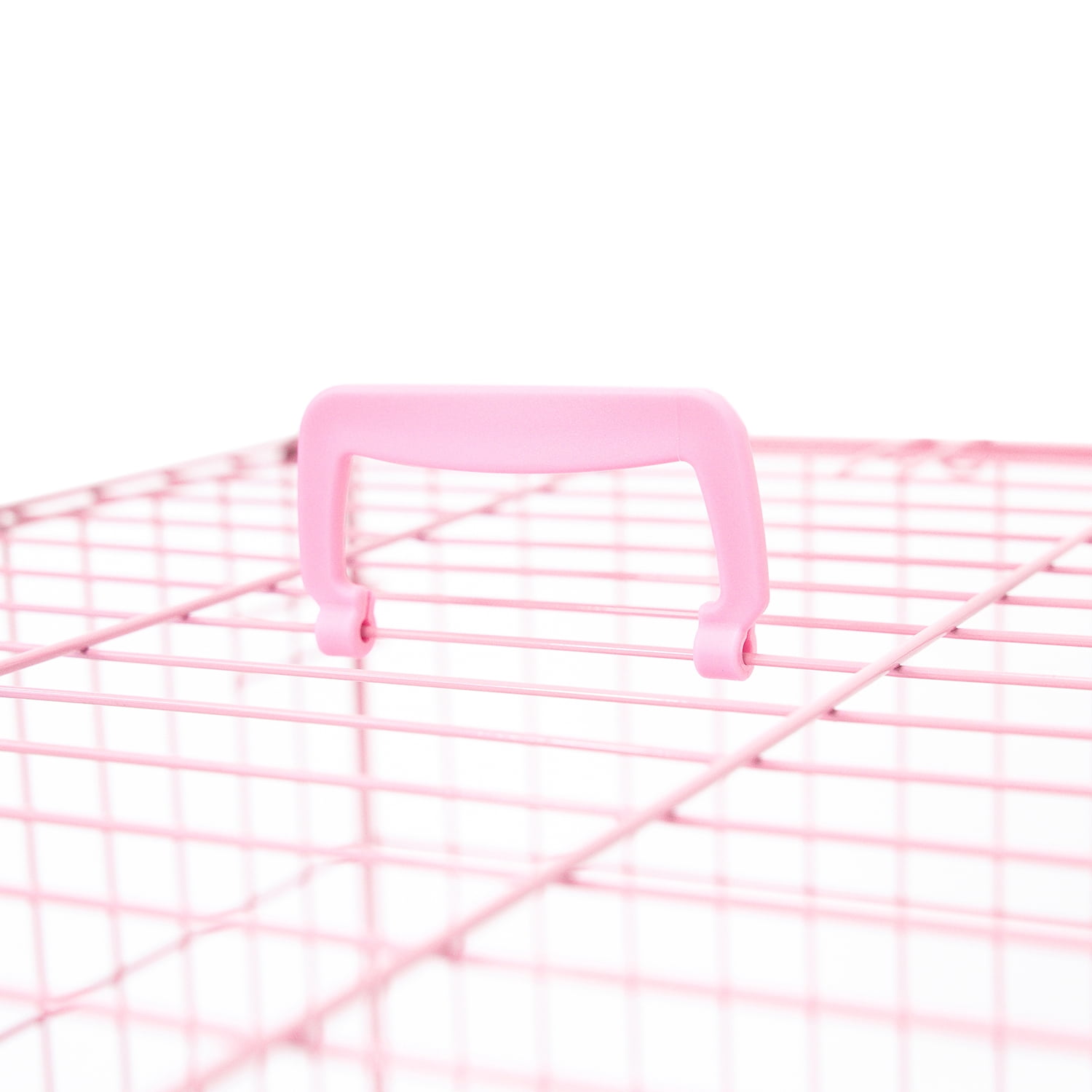 Carlson Pet Products Pink Secure and Foldable Single Door Metal Dog Crate for Small Breeds with Multi-Point Locking System, 24" L x 18" W x 20.5" H