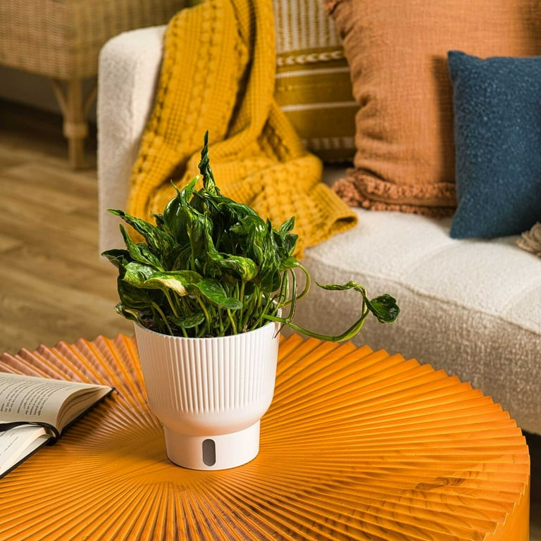 ZENSUILED PLUS 180cm ストロングホワイト HUDSON_60332_CROPLS.jpg?v=