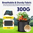 thumbnail image 5 of iPower 20 Pack 2 Gallon Grow Bags, Garden Planting Nonwoven Fabric Pots with Reinforced Handle, Heavy Duty and Aeration Planter Pot for Tomato, Fruits, Vegetables and Flowers, Black, 5 of 7