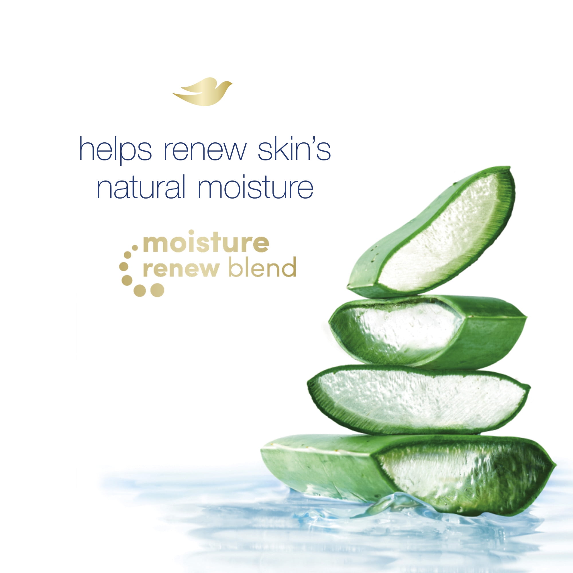 Dove Hydrating Body Wash Aloe and Birch Water Scent 22 fl. Oz