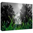 thumbnail image 2 of ArtWall John Black "Grass" Gallery-Wrapped Canvas, 2 of 2