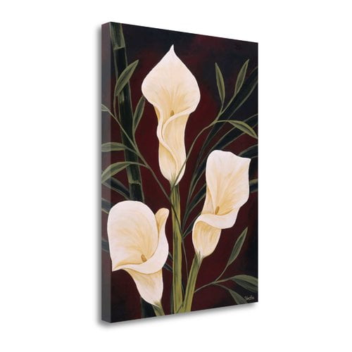 Tangletown Fine Art 'Botanical Elegance II' Graphic Art Print on Wrapped Canvas