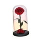 thumbnail image 4 of Rosa en cúpula de cristal, decoración para San Valentín, regalos para San Valentín Estilo B, 4 of 9