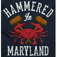 thumbnail image 2 of Hammered in Maryland Funny MD Party Unisex Fleece Graphic Zip Up Hoodie Brisco Brands 2X, 2 of 5