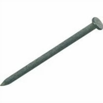 Grip-Rite 5023845 40D 5 in. 50 lbs Common Hot-Dipped Galvanized Steel Nail Oval