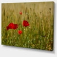 thumbnail image 2 of Red Poppy Flower Field Background - Large Flower Canvas Wall Art, 2 of 3