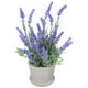 thumbnail image 1 of Arreglos de lavanda de plástico con flores artificiales en macetas para decoración (morado), 1 of 6