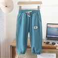 thumbnail image 2 of Gpaecead Toddler Boy Girls Sports Sweatpants Solid Elastic Waist Drawstring Jogger Pants Sweatpants Size (1-13Y) Blue, 2 of 4