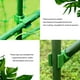 thumbnail image 2 of BRIGHTFUFU 10pcs Clip de fijación de plantas de plástico Clip de soporte de tallos de jardín Clip de planta, 2 of 8