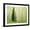 Black Frame, variant on Art.com Silver FIr in Aspen Grove, White River National Forest, Colorado, USA Stretched Canvas Print Wall Art by Charles Gurche, 16" x 12"