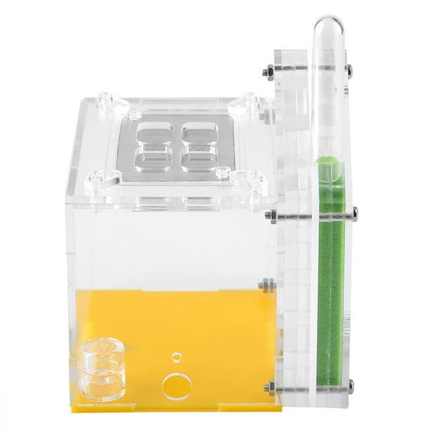 Formicaio Acrilico Trasparente Con Torre Dell'Acqua - Habitat Per Formiche Vive Con Accessori - Foto 12