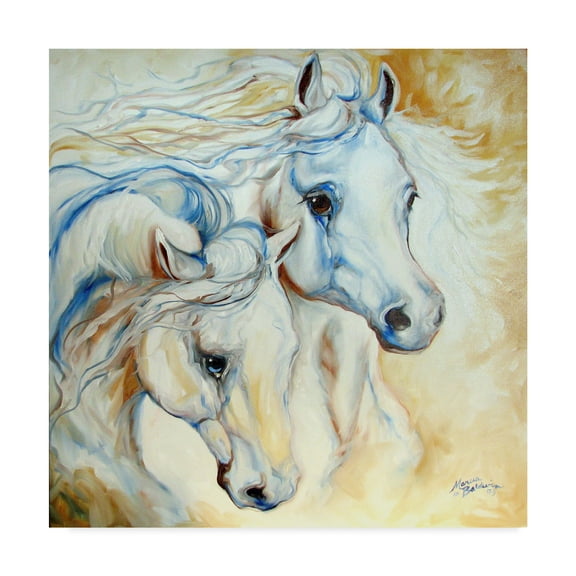 Trademark Fine Art 'Arabian Essence' Canvas Art by Marcia Baldwin