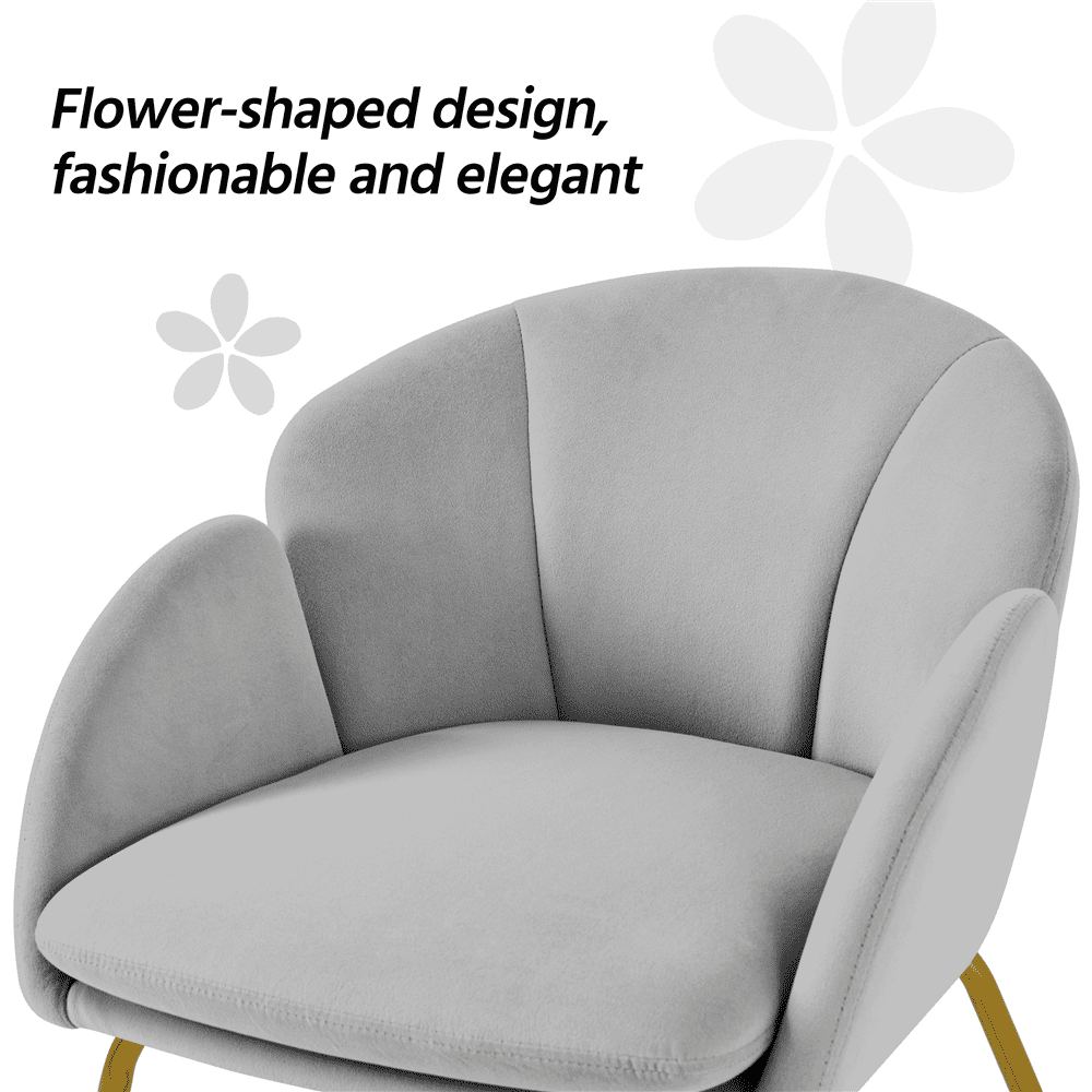 Alden Design Pack of 2 Velvet Armchair Dining Chair with Golden Metal Legs for Living Room/Bedroom/Kitchen, Gray
