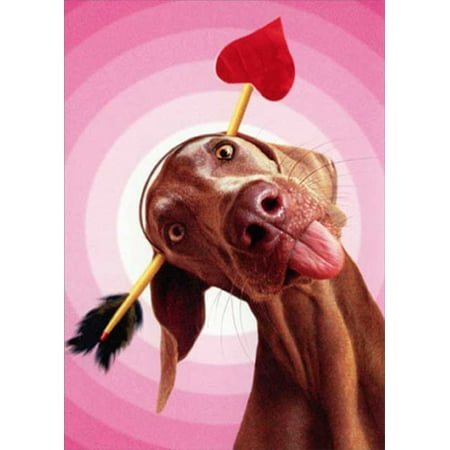 Avanti Press Dog With Arrow Through Head Funny / Humorous Valentine's Day Card