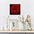 thumbnail image 6 of Chilfamy Red Rose Romantic Macro Photography Canvas Print Art 16x16in, 6 of 6