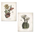 thumbnail image 1 of Off-White and Green Botanical Cactus Adult Floral Decor; 2 - 11" x 14" Unframed Posters, 1 of 1