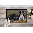 thumbnail image 2 of Carolines Treasures ASA2196MAT Border Collie Chiots Tapis Intérieur Ou Extérieur&44; 18 x 27, 2 of 4