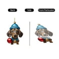 Wldoasz Christmas Advent Calendar 2025, Dog Treats Advent Calendar Dog