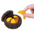 thumbnail image 1 of 3d Puzzle Sea Urchin Educational Toy Afortunado Sencillez, 1 of 5