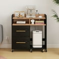 thumbnail image 3 of DEXTRUS Black File Cabinet with Charging Station, Shredder Stand, Printer Table, and 2-Drawer Storage, 3 of 13