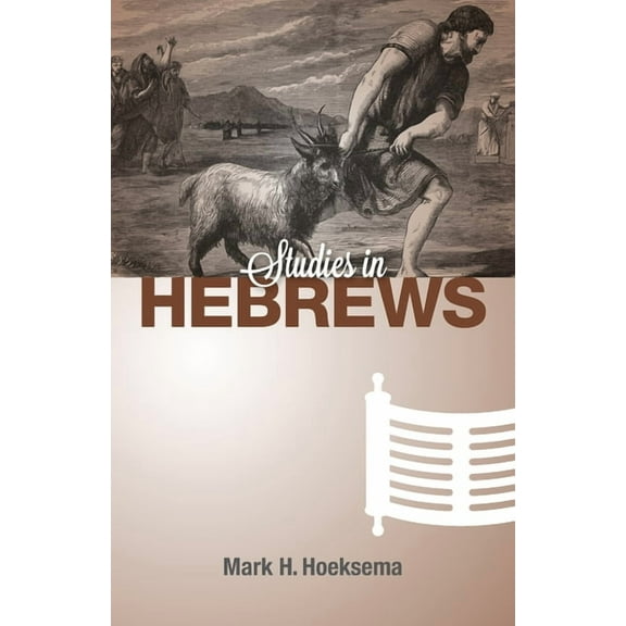 Studies in Hebrews (Paperback)