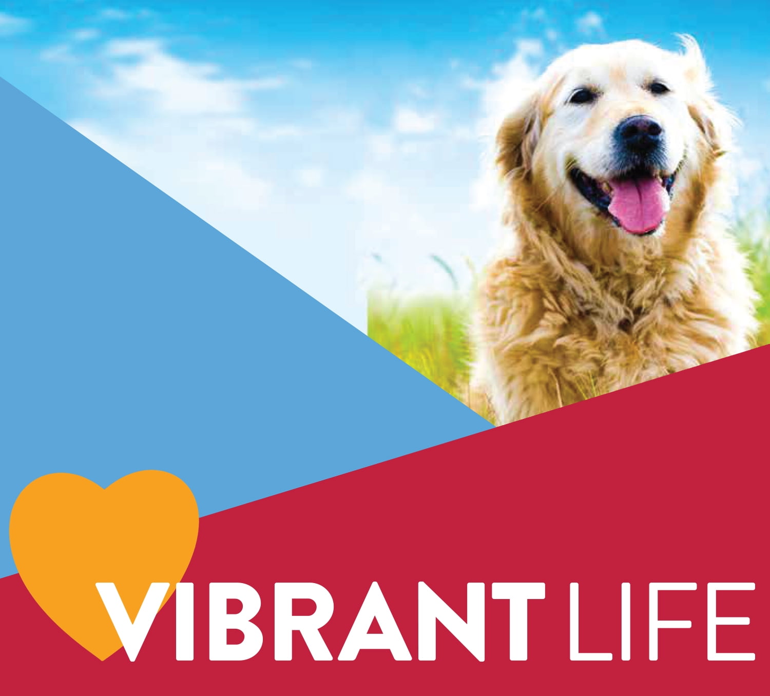 Shop Vibrant Life Pet Supplies!