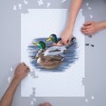 thumbnail image 3 of Ducks, Icon (1000 Piece Puzzle, Size 19x27, Challenging Jigsaw Puzzle for Adults and Family, Made in USA), 3 of 4