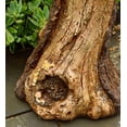 thumbnail image 4 of Plow & Hearth Succulent Bird Nest Tree Stump Birdbath, 4 of 5