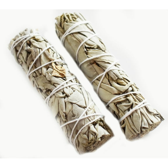 Florida Shells & Gifts California White Sage Incense Stick 4" 2 Count 2 Pack
